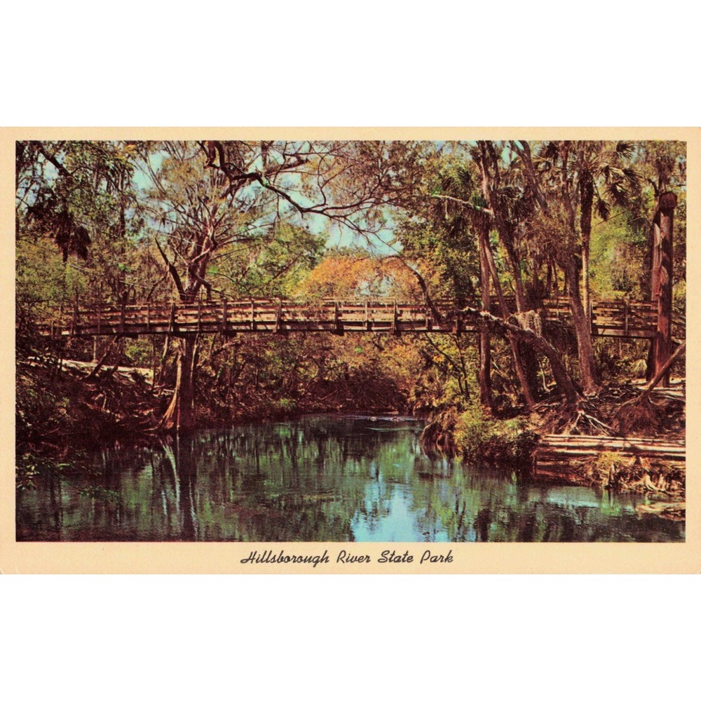Hillsborough River State Park Florida FL Suspension Bridge Curteich Vtg Postcard